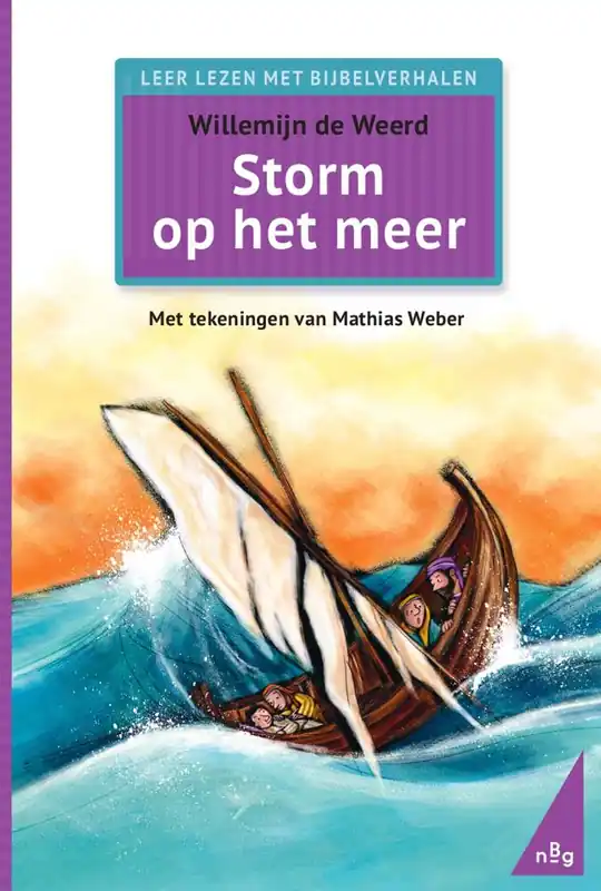 Storm op het meer / Druk 2 Koop Online