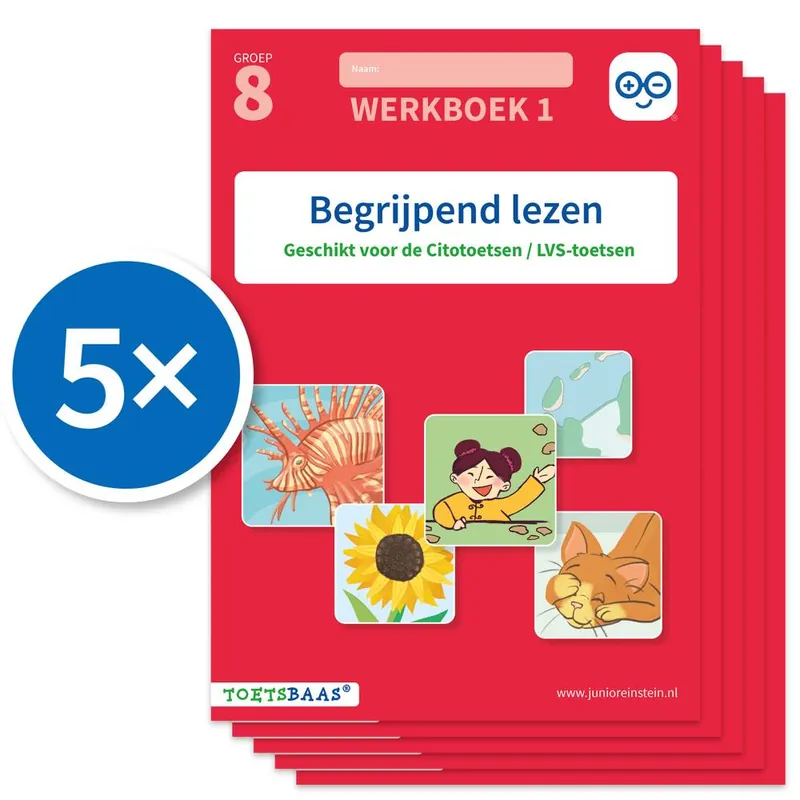 Direct Beschikbaar Begrijpend lezen 1 (Set van 5) groep 8 werkboek / Druk 1