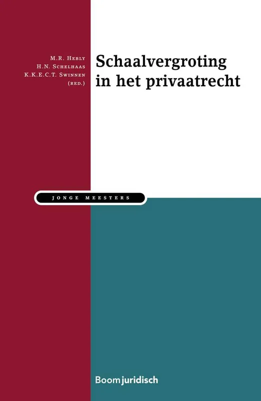 Schaalvergroting in het Privaatrecht / Druk 1 Alleen Vandaag