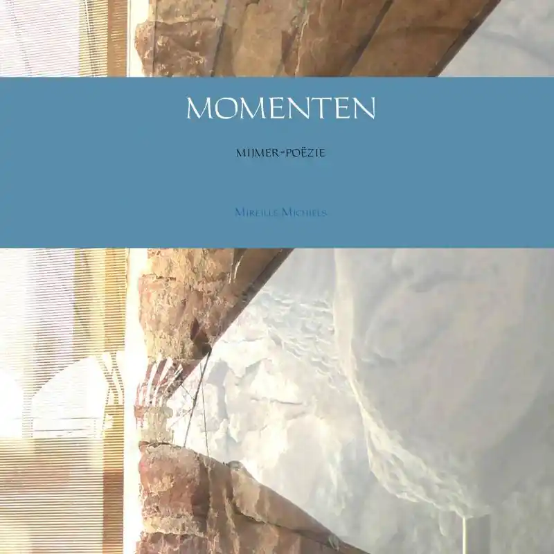 MOMENTEN / Druk 1 Koop Online