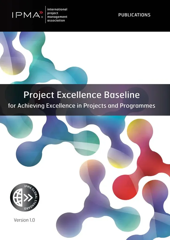 Project Excellence Baseline / 1st Edition Korting