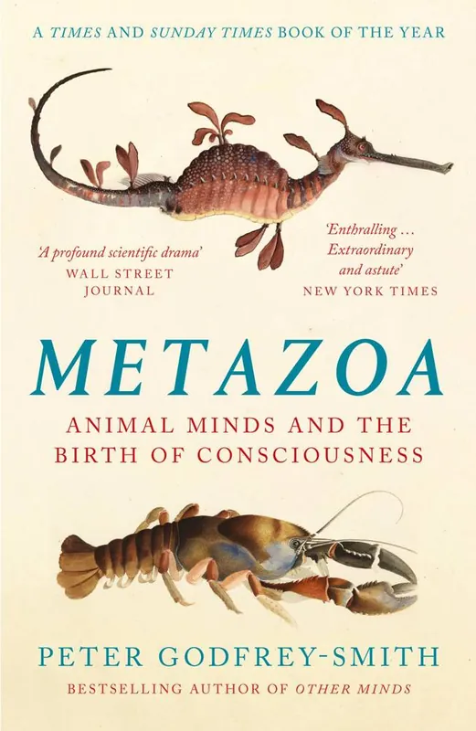 Weekendaanbieding Metazoa
