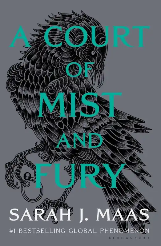 Nieuw A Court of Mist and Fury