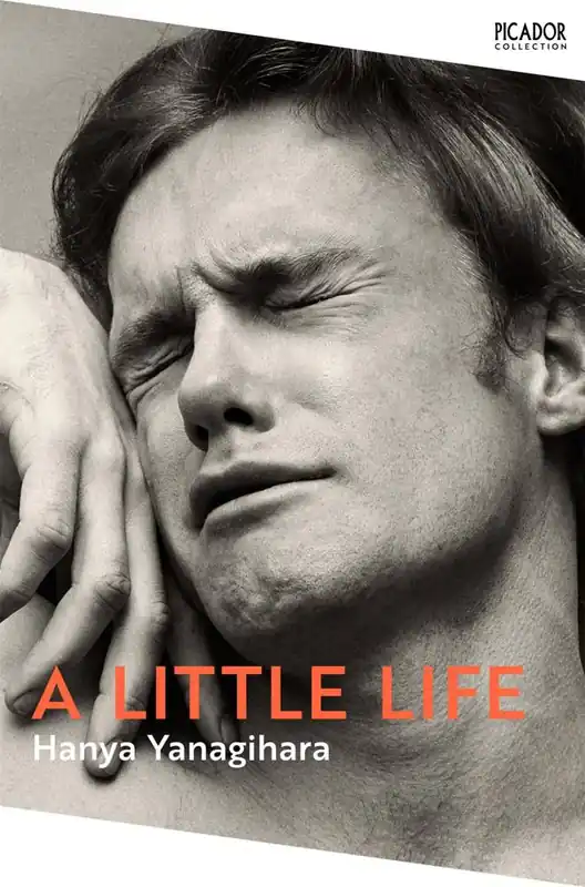Merkproduct A Little Life