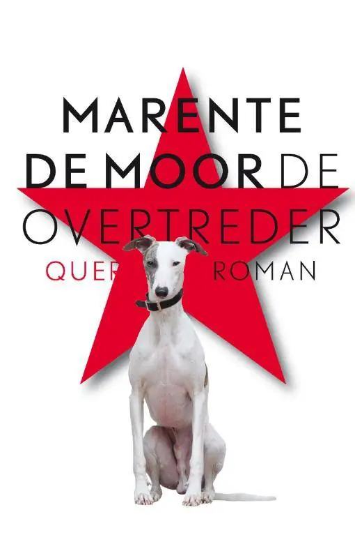 De overtreder / Druk 4 Bestseller