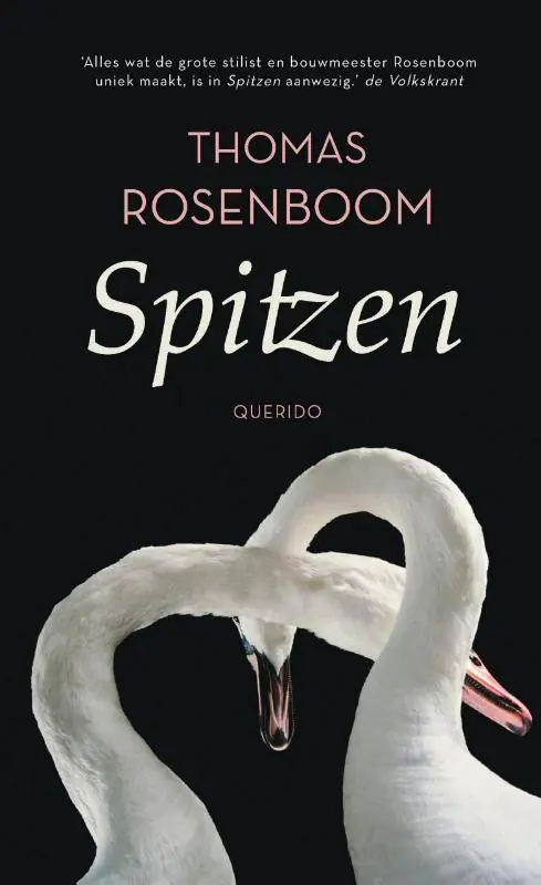 Spitzen / Druk 4 Veilige Betaling