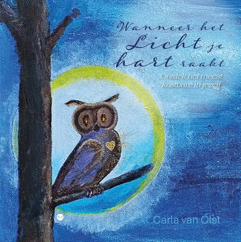 Actieprijs Wanneer het Licht je hart raakt / Druk 1