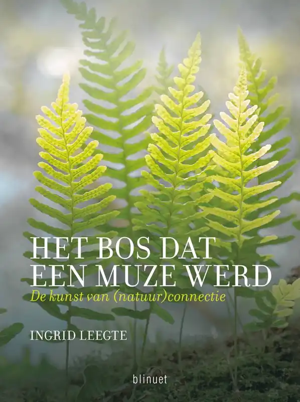 Koopje Het bos dat een muze werd / Druk 1
