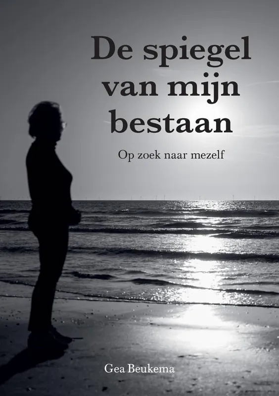 Seizoensaanbieding De spiegel van mijn bestaan / Druk 1