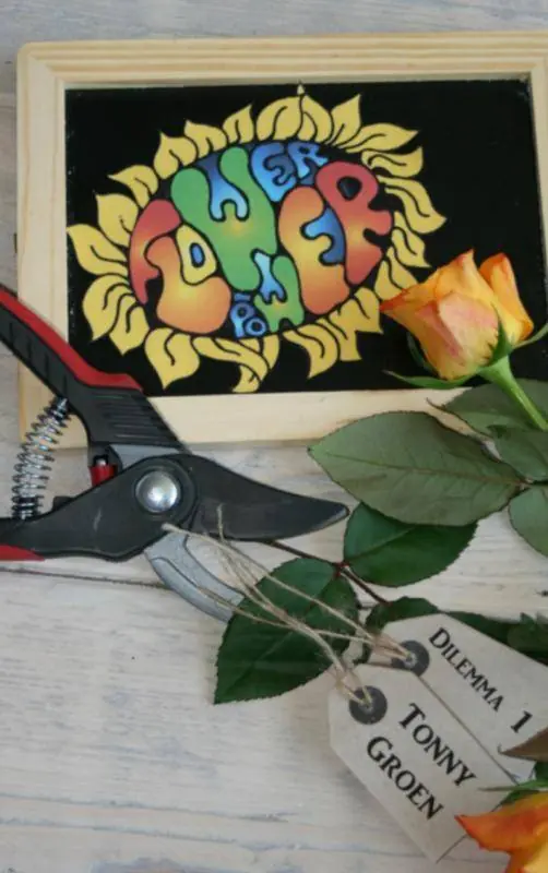 Flowerpower / Druk 1 Merkproduct