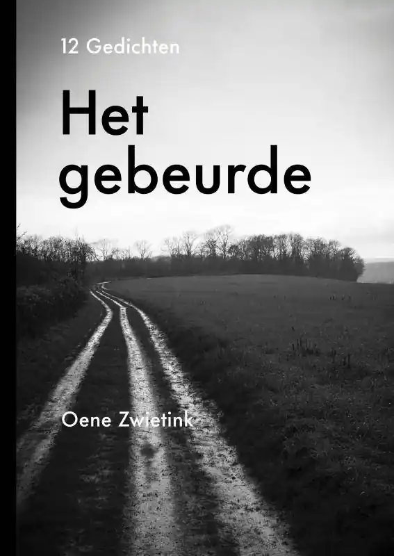 Het gebeurde / Druk 1 Rechtstreeks Van De Fabrikant