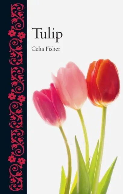Tulip Tijdelijk Beschikbaar