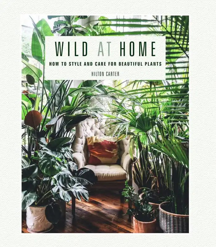 Wild at Home Korting