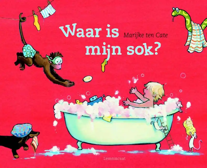 Lage Prijs Waar is mijn sok? / Druk 4
