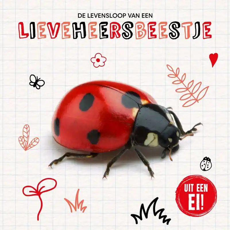 Premium De levensloop van een lieveheersbeestje / Druk 1