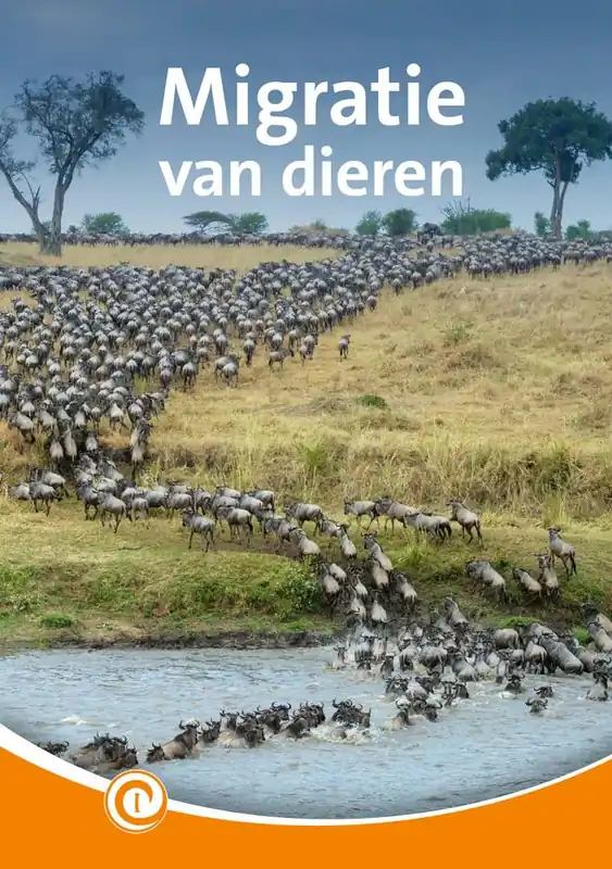 Lage Prijs Migratie van dieren / Druk 1