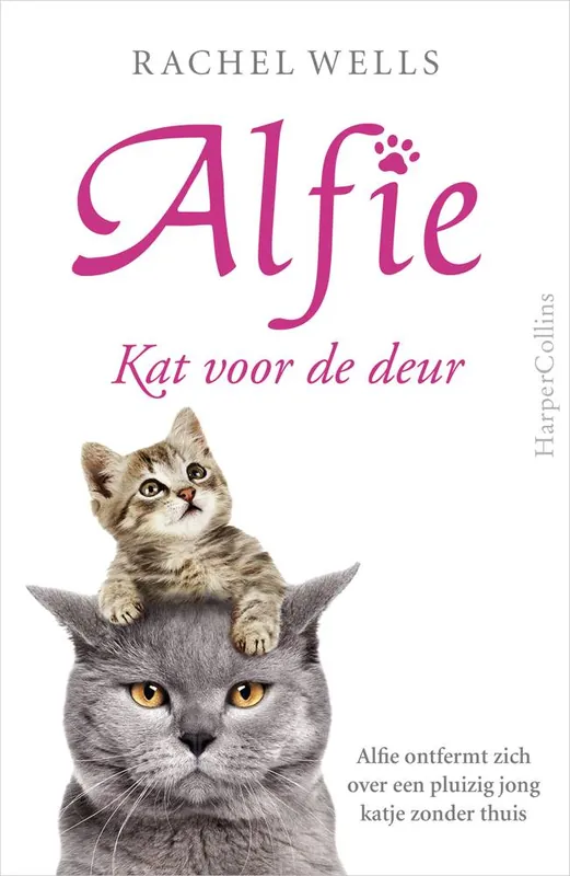 Populair Kat voor de deur