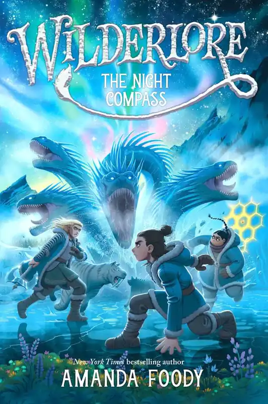 Goedkoop The Night Compass / 1st Edition