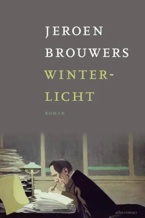 Winterlicht / Druk 6 Koop Vandaag