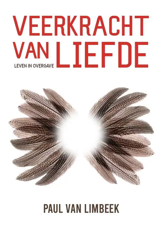 Actieprijs Veerkracht van liefde / Druk 1