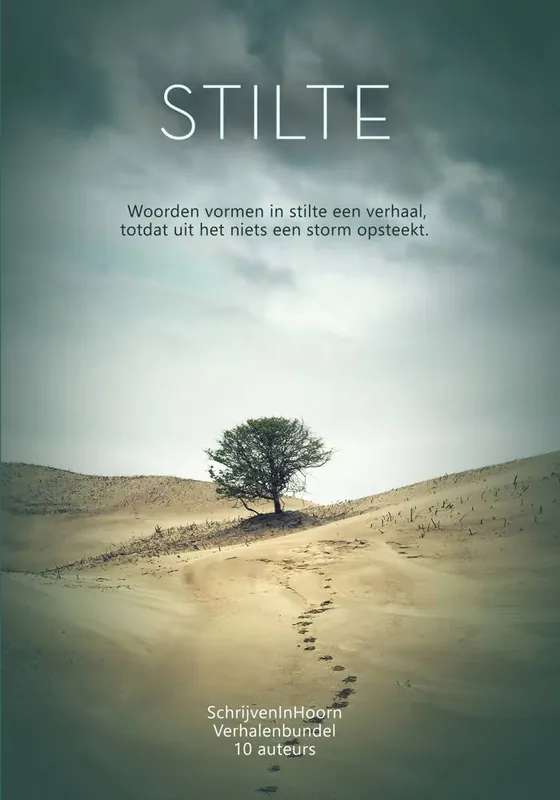 Stilte versus storm / Druk 1 Must-Have