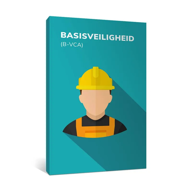 Basisveiligheid (B-VCA) / Druk 7 Snelle Levering