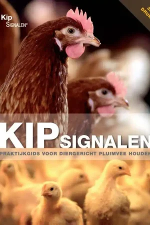 Aanbieding Kipsignalen / Druk 2