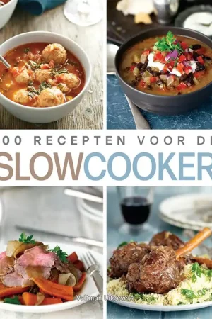 100 recepten voor de slowcooker / Druk 2 Gratis Retour