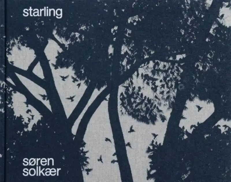 Lage Kosten Søren Solkær: Starling