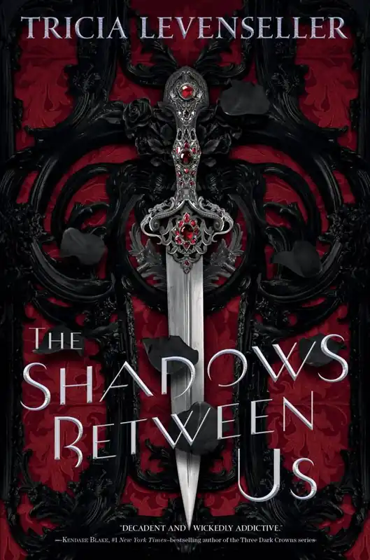 The Shadows Between Us Direct Beschikbaar
