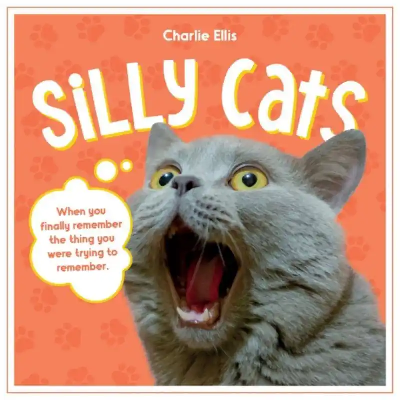 Weekendaanbieding Silly Cats