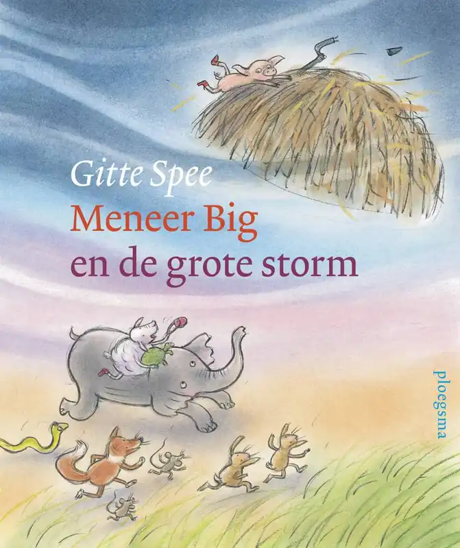 Meneer Big en de grote storm / Druk 1 Direct Verzonden
