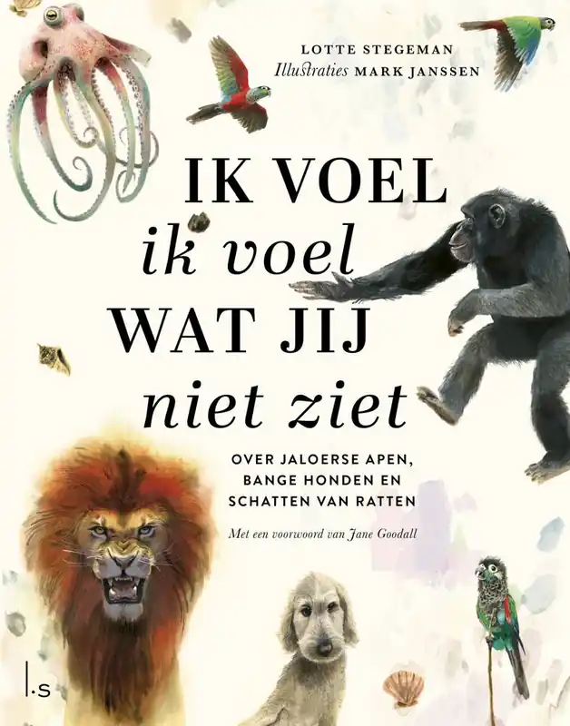Uitverkoop Ik voel ik voel wat jij niet ziet / Druk 2