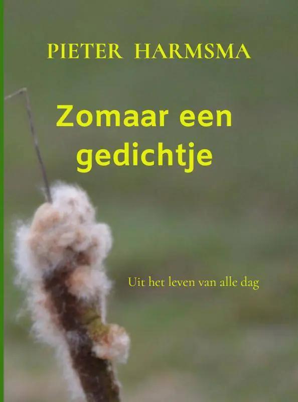 Direct Verzonden Zomaar een gedichtje / Druk 1