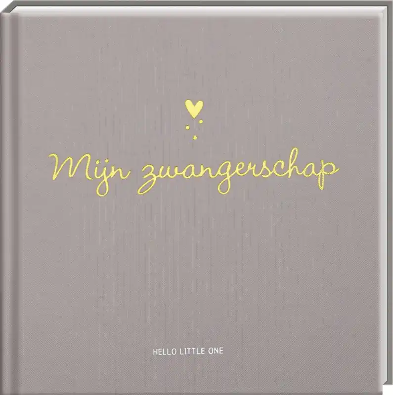 Baby invulboeken - Mijn zwangerschap / Druk 1 Seizoensaanbieding