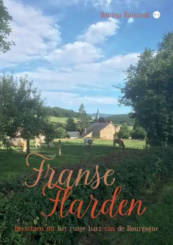 Lage Kosten Franse Flarden / Druk 1