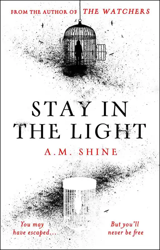 Koop Vandaag Stay in the Light