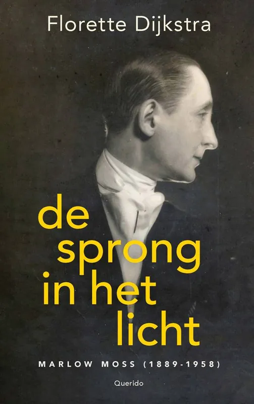 Flitsaanbieding De sprong in het licht / Druk 1