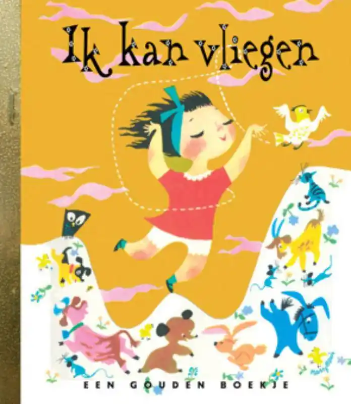 Ik kan vliegen / Druk 1 Actieprijs