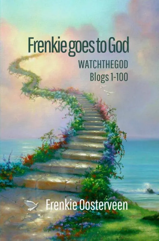 Frenkie goes to God / 1st Edition Koop Vandaag
