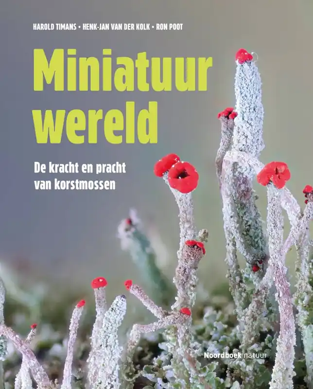 Populair Miniatuurwereld / Druk 2